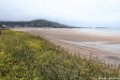 2015_05_Le_Cotentin_05