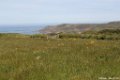 2015_05_Le_Cotentin_100