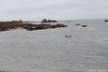 2015_05_Le_Cotentin_111