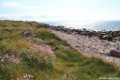 2015_05_Le_Cotentin_152