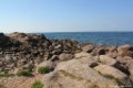 2015_05_Le_Cotentin_158