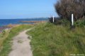 2015_05_Le_Cotentin_159