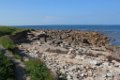 2015_05_Le_Cotentin_162