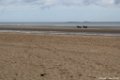 2015_05_Le_Cotentin_206