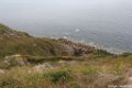 2015_05_Le_Cotentin_21