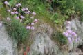 2015_05_Le_Cotentin_26