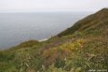 2015_05_Le_Cotentin_31