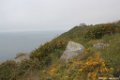 2015_05_Le_Cotentin_37