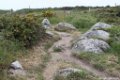 2015_05_Le_Cotentin_38