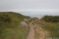 2015_05_Le_Cotentin_39