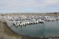 2015_05_Le_Cotentin_58
