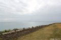 2015_05_Le_Cotentin_74