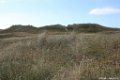 2015_05_Le_Cotentin_86