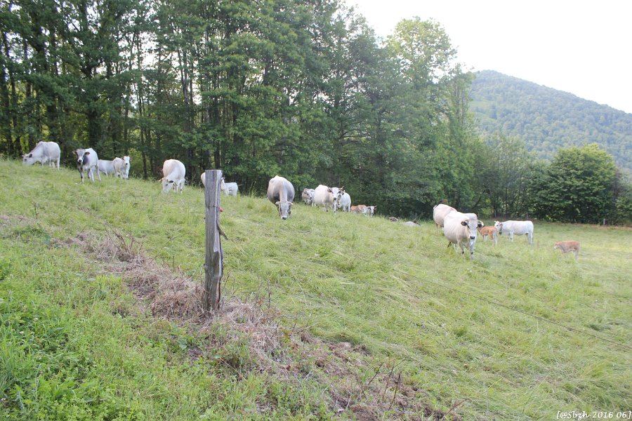 2016_06_Ariege__068