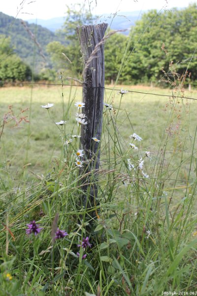2016_06_Ariege__071