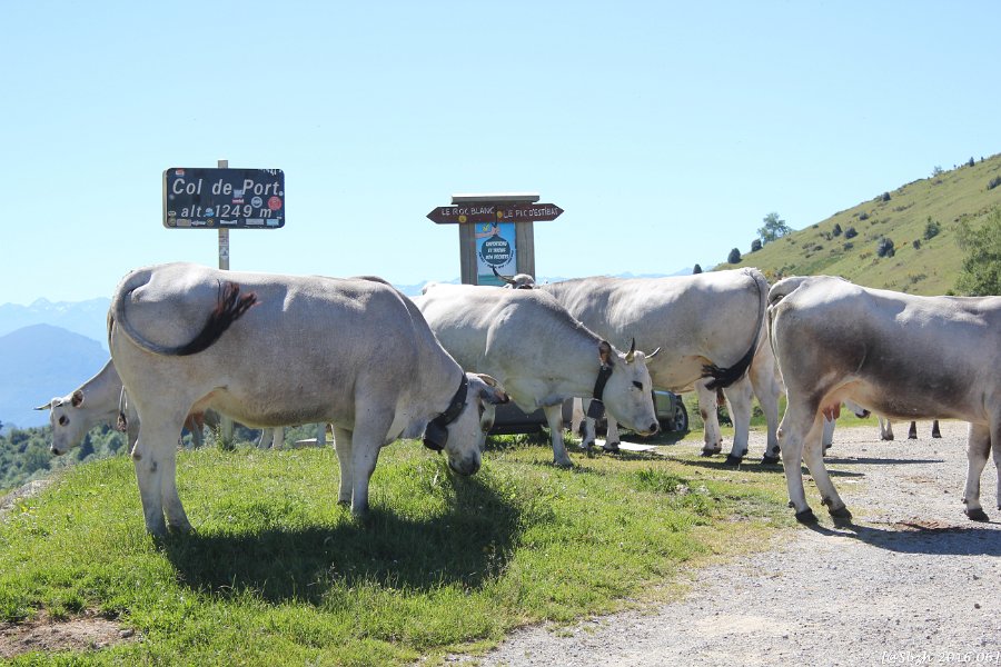 2016_06_Ariege__117