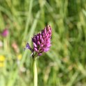 2016_06_Ariege__065