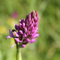 2016_06_Ariege__066