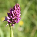 2016_06_Ariege__067