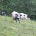 2016_06_Ariege__069