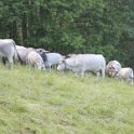 2016_06_Ariege__070