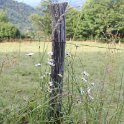 2016_06_Ariege__071