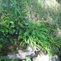 2016_06_Ariege__095