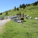2016_06_Ariege__115