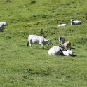 2016_06_Ariege__116
