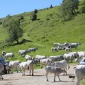 2016_06_Ariege__118