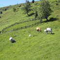 2016_06_Ariege__119