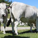 2016_06_Ariege__121