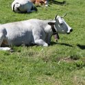 2016_06_Ariege__123