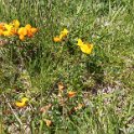 2016_06_Ariege__131