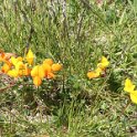 2016_06_Ariege__132