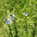 2016_06_Ariege__133