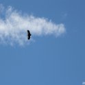 2016_06_Ariege__144