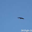 2016_06_Ariege__146