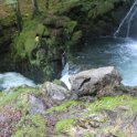 2016_06_Ariege__177