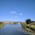 2017_06_Ile_de_Re_101