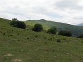 2008_07_27_Osquich_002