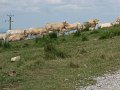 2008_07_27_Osquich_004