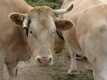2008_07_27_Osquich_017