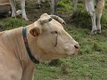 2008_07_27_Osquich_018