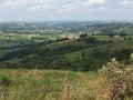 2008_07_27_Osquich_027
