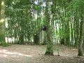 2008_07_29_Laas_001