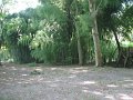 2008_07_29_Laas_003
