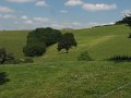 2008_07_30_04_Iholdy_008