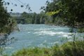 IMG_6339