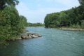 IMG_6529